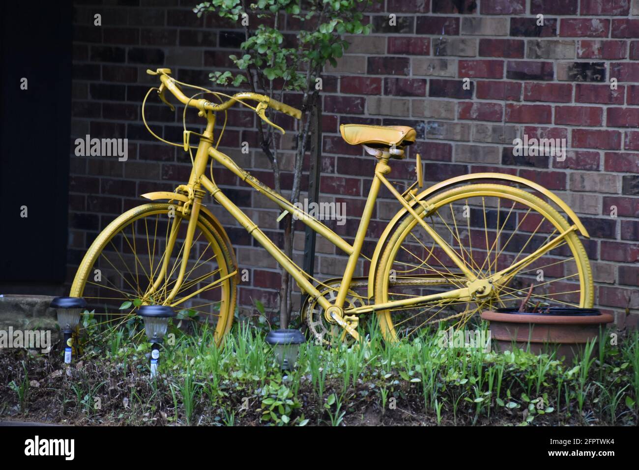 Les filles jaunes vélo dans un lit de fleur de l'est du Texas Banque D'Images