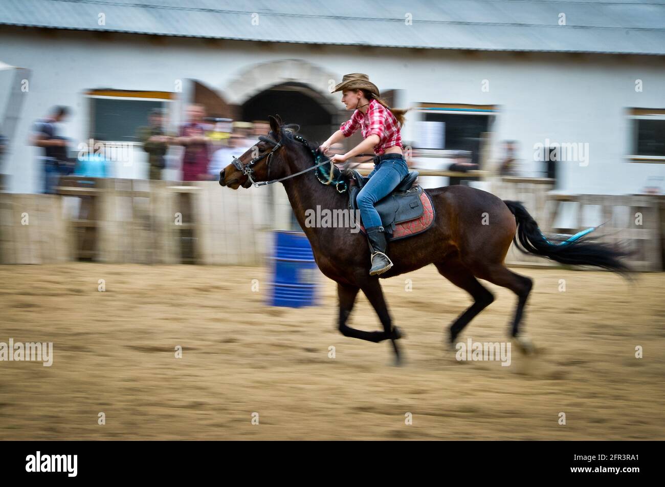 Bélarus - 27,04,2013: rodéo, chevaux, courses de chevaux, éperon d'or. La fille manne un cheval dans un chapeau de cow-boy. Banque D'Images