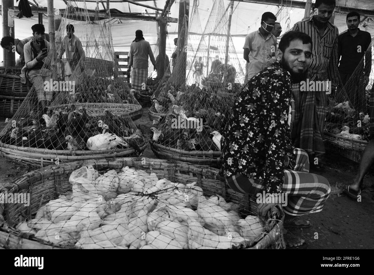 Le marché de gros du poulet au bazar de Karwan à Dhaka, au Bangladesh. Banque D'Images