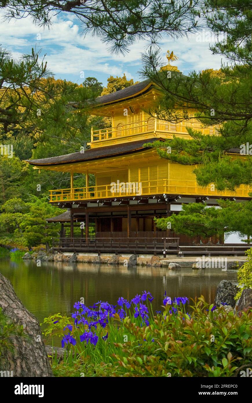 Kinkaku-ji, Pavillon d'or, Kyoto Banque D'Images