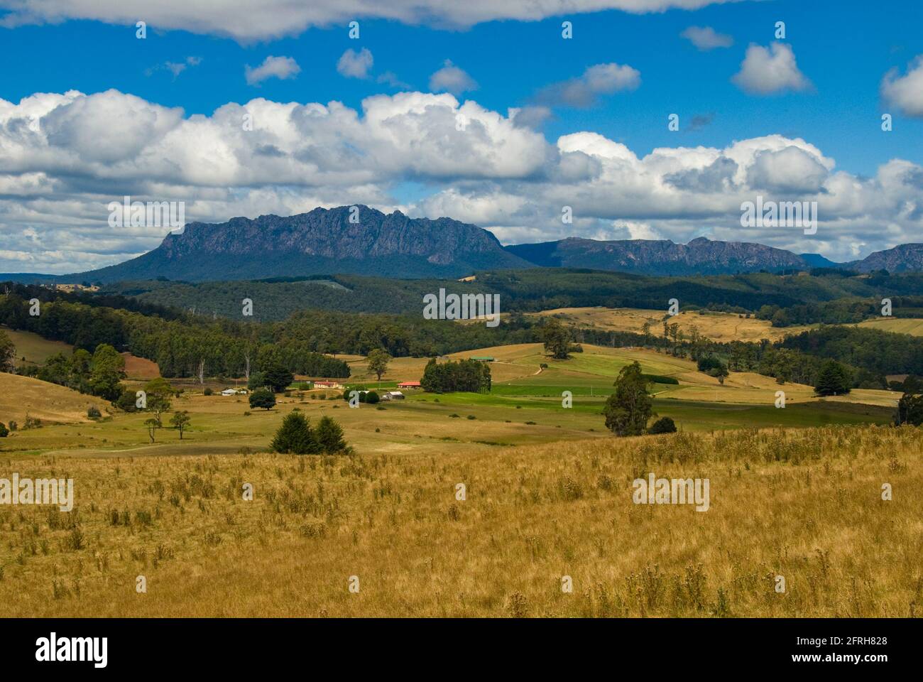 Mt Roland, Tasmanie, Australie Banque D'Images