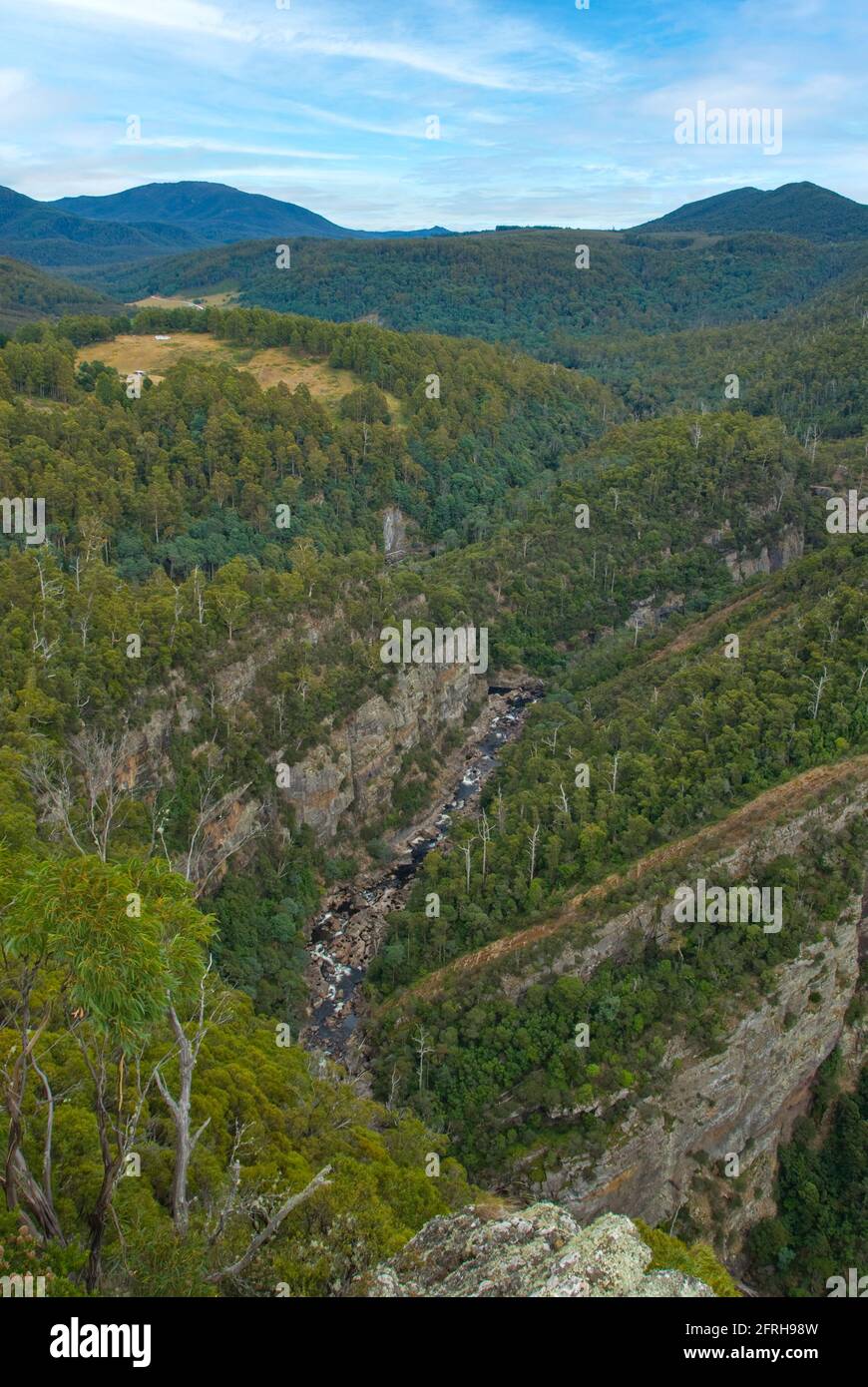 Leven Canyon, Tasmanie, Australie Banque D'Images