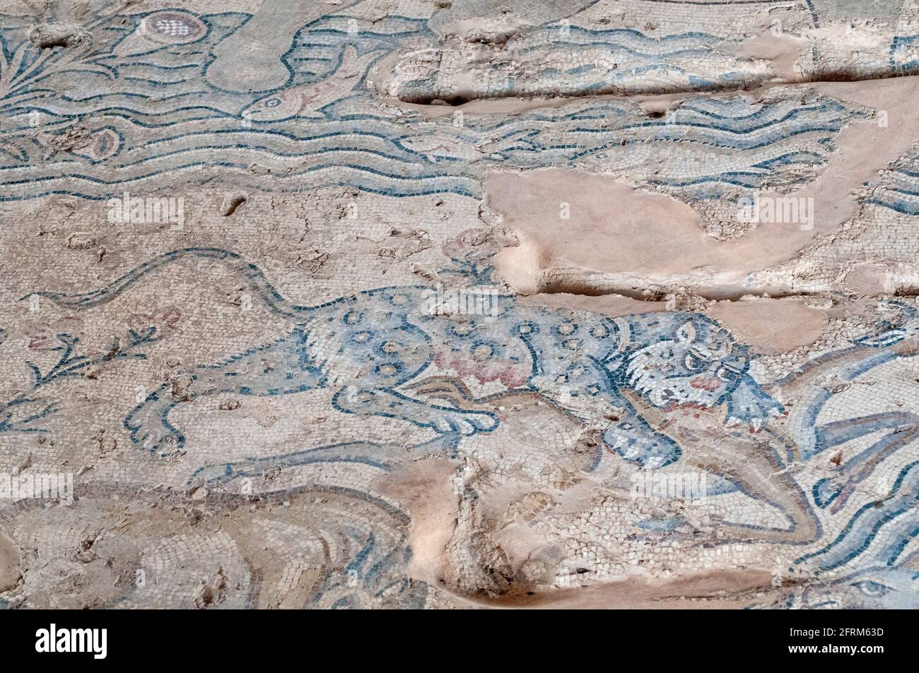 Une mosaïque vieille de 1 500 ans avec des scènes du Nil découverte en