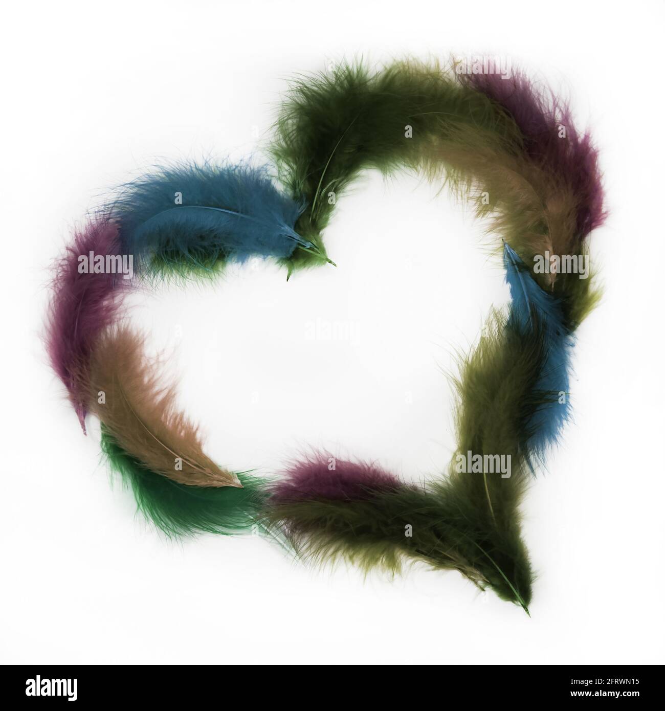 coeur de saint-valentin très coloré et moelleux fait d'oiseau plumes pour l'harmonie et l'amour Banque D'Images