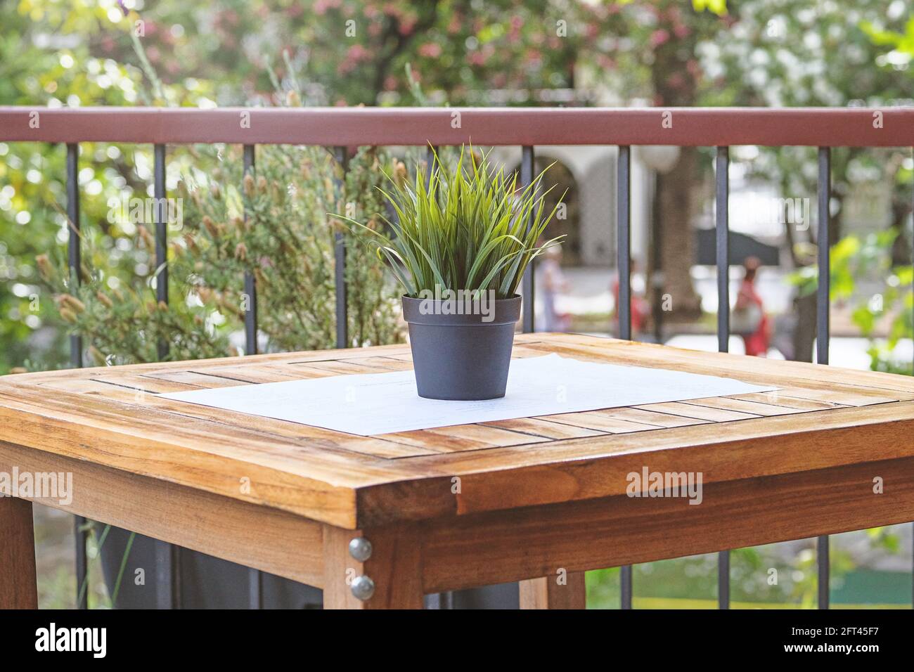 Pot avec fleur verte sur une table en bois du café extérieur de la rue. Design du restaurant d'été. Banque D'Images