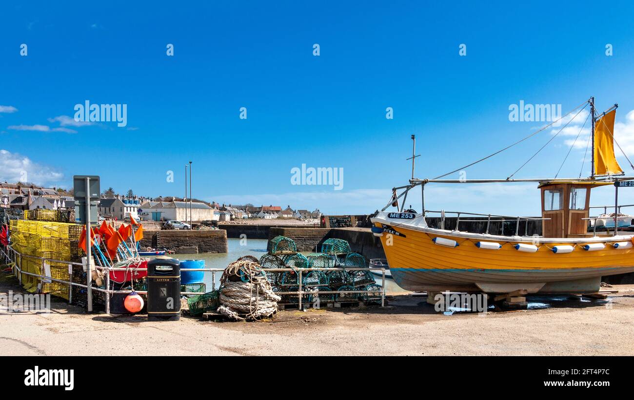 JOHNSHAVEN VILLAGE DE PÊCHEURS CÔTIER ABERDEENSHIRE ECOSSE LE PORT DE PÊCHE JAUNE BATEAU ET CRABES JAUNES Banque D'Images