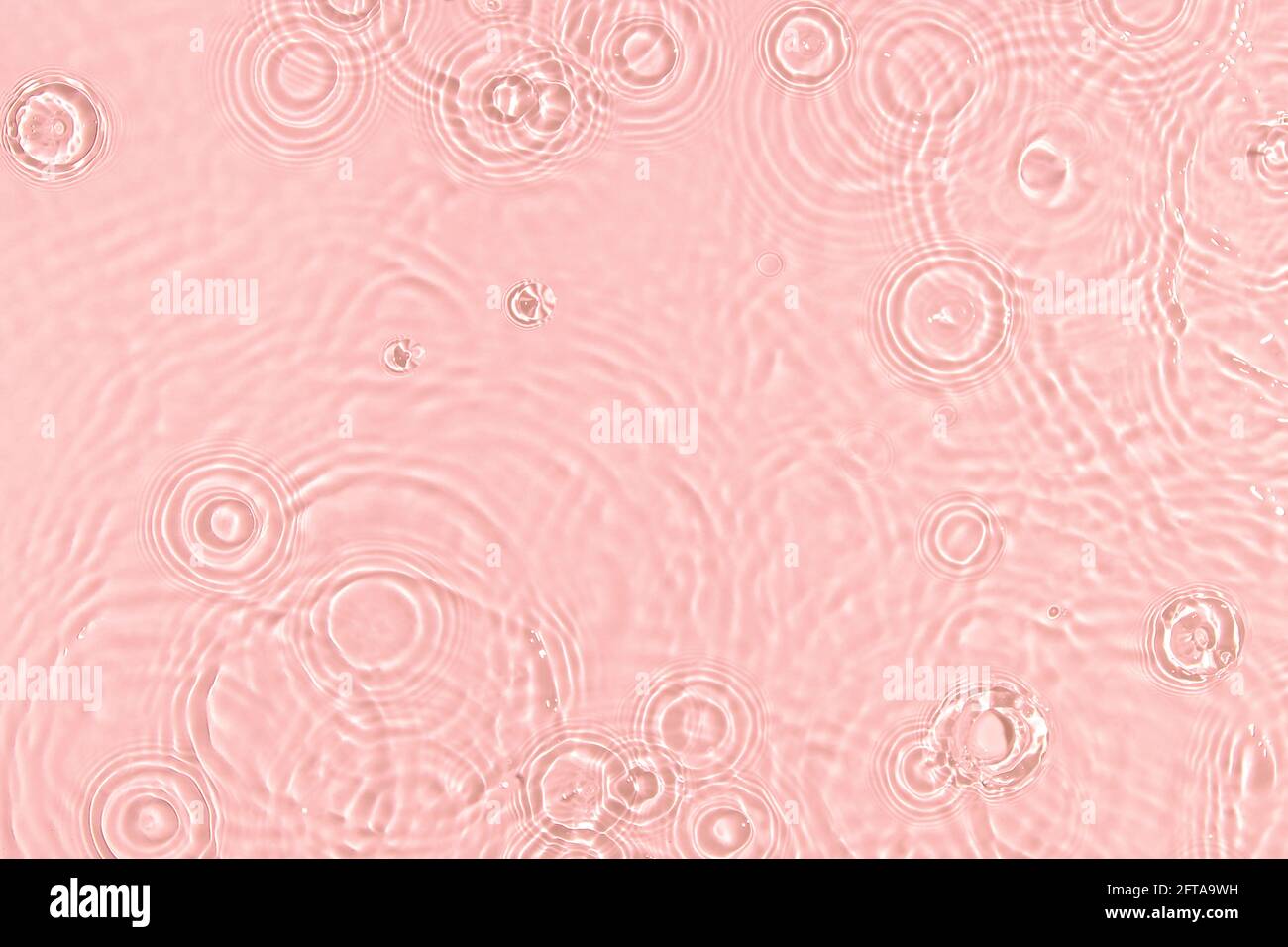 rose transparent eau transparente texture de surface été fond Banque D'Images