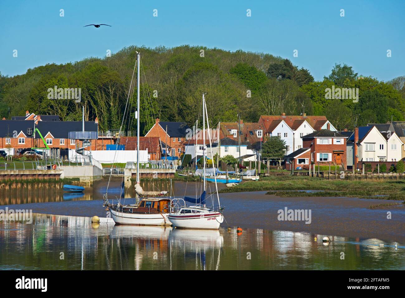 Le village de Rowhedge, sur la rivière Colne, Essex, Angleterre Royaume-Uni Banque D'Images