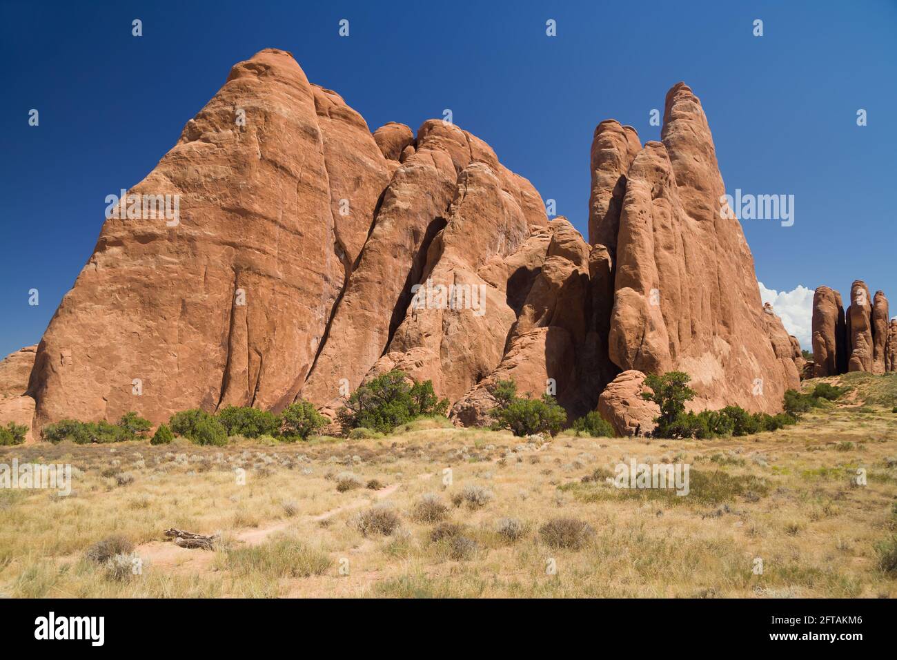 Section des dunes de sable dans le parc national d'Arches, Utah, États-Unis. Banque D'Images