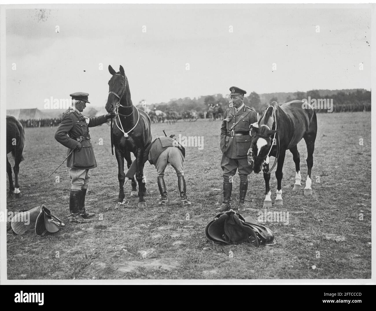 World War One, WWI, Western Front - New Zealand Division Horse show près du Western Front Banque D'Images