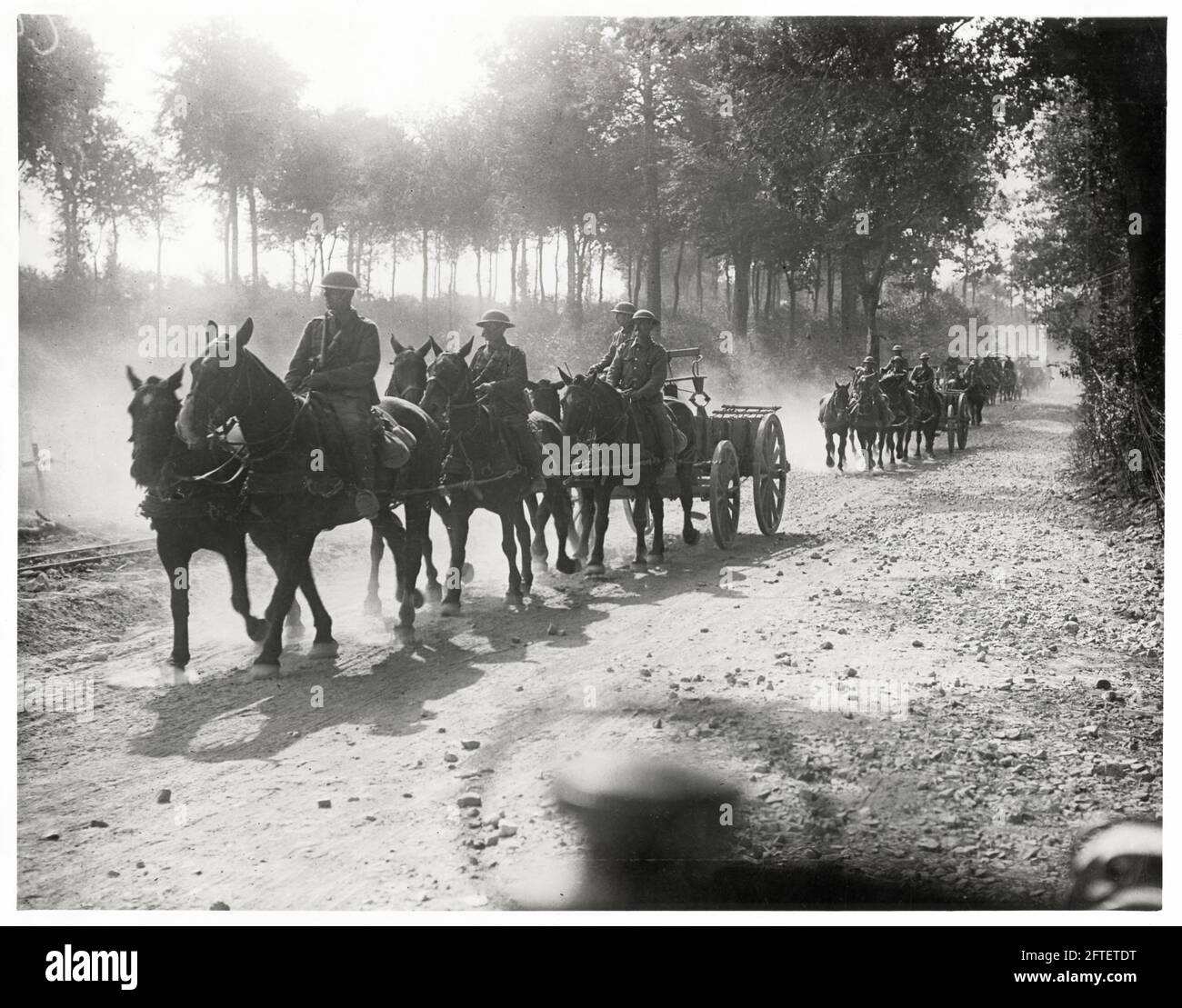 Première Guerre mondiale, première Guerre mondiale, Front occidental - troupes venant par un bois (transport), France Banque D'Images