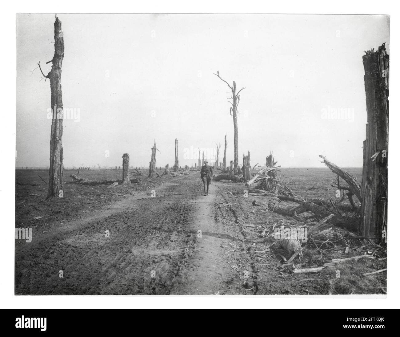 Première Guerre mondiale, première Guerre mondiale, Front occidental -la route d'Amiens-St Quentin montrant l'effet de feu sur les arbres par une route, France Banque D'Images