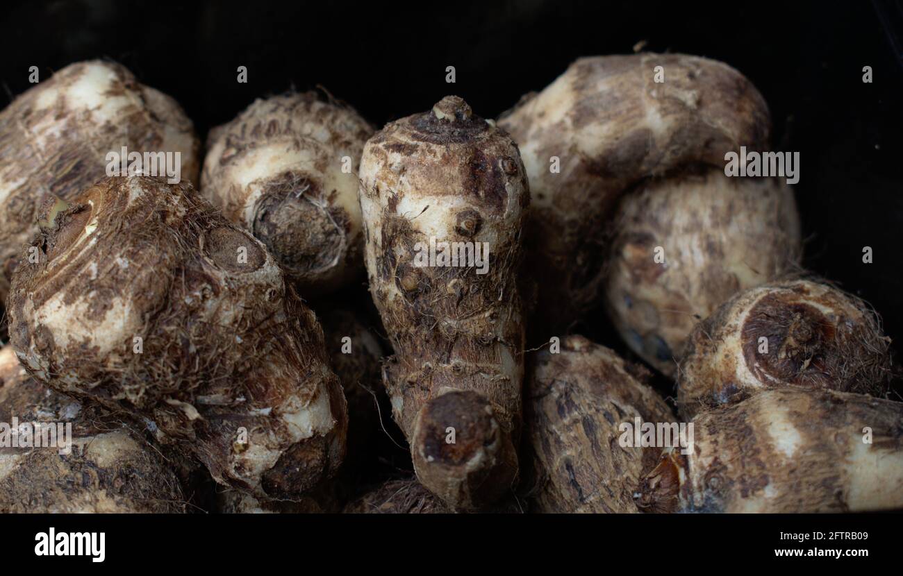 Colocasia esculenta taro fraîchement nettoyé aliments crus Photographie Art Banque D'Images