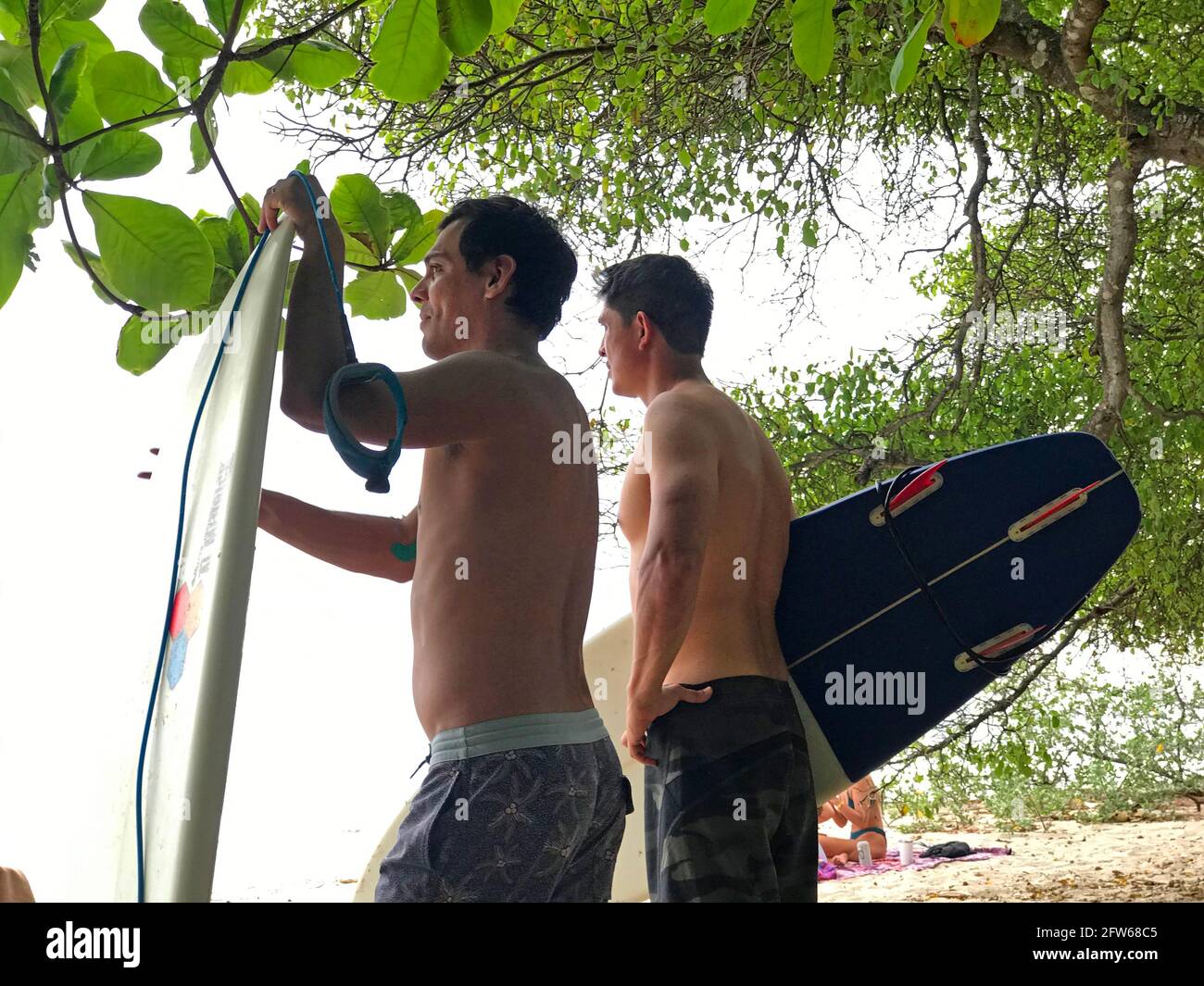 Deux jeunes surfeurs font le plein d'eau sur une plage de Tamarindo, au Costa Rica, à l'ombre d'un mangrove. Banque D'Images