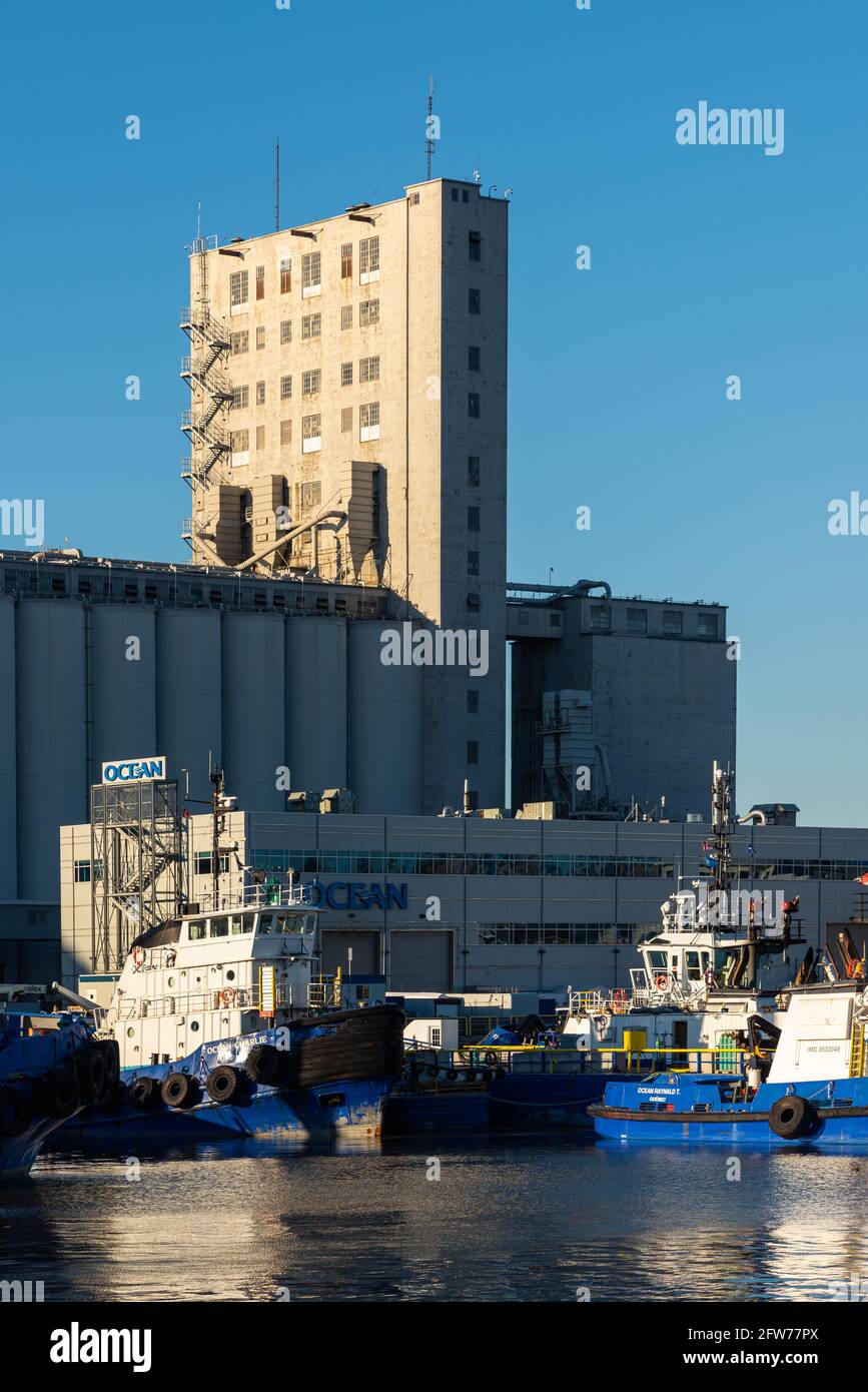 Remorqueurs dans le port de Québec avec élévateur de grain industriel en arrière-plan Banque D'Images