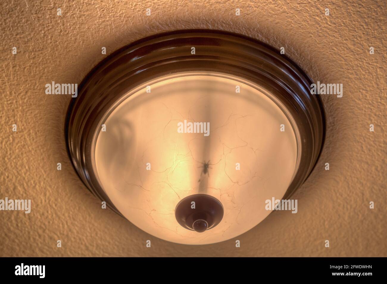 Plafonnier avec croisillon à l'intérieur Banque D'Images