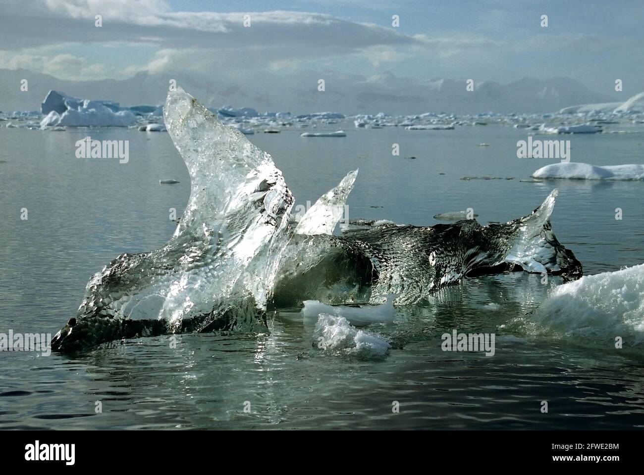 Iceberg transparent à Paradise Bay, Antarctique Banque D'Images