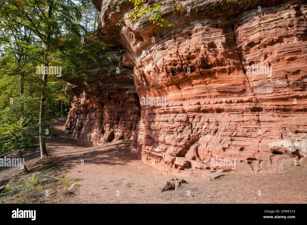 Formation de grès, Altschlossfelsen, Forêt du Palatinat, Rhénanie Palatinat, Allemagne, Europe Banque D'Images