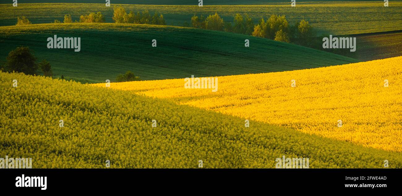 Panorama des champs situés sur des collines ondulantes, rappelant le paysage de la Toscane italienne Banque D'Images