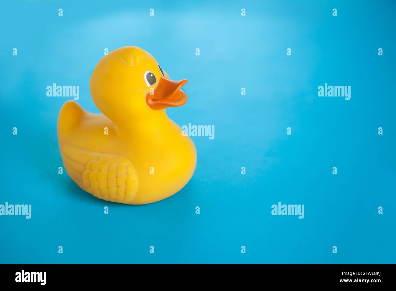 Canard de bain en caoutchouc jaune sur fond bleu. Jouets d'été Banque D'Images