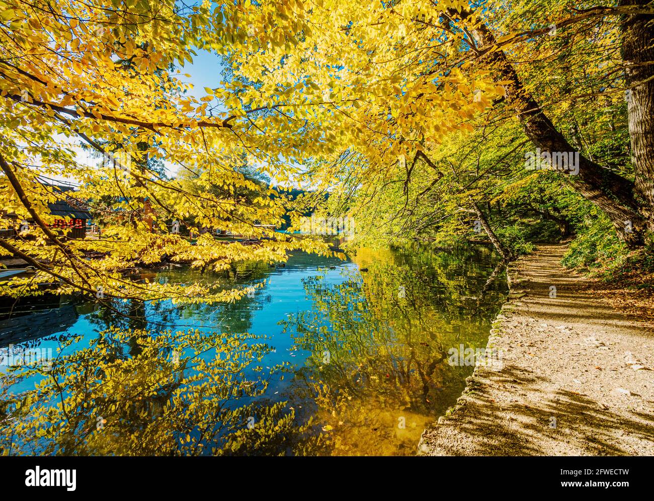 Vue panoramique sur les arbres colorés et un chemin dans la forêt avec un lac bleu dans la composition de l'automne à Plitvice, Croatie Banque D'Images