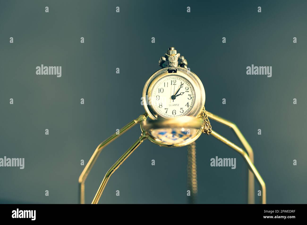 Montre de poche à motif tête de loup. Mise au point sélective Banque D'Images