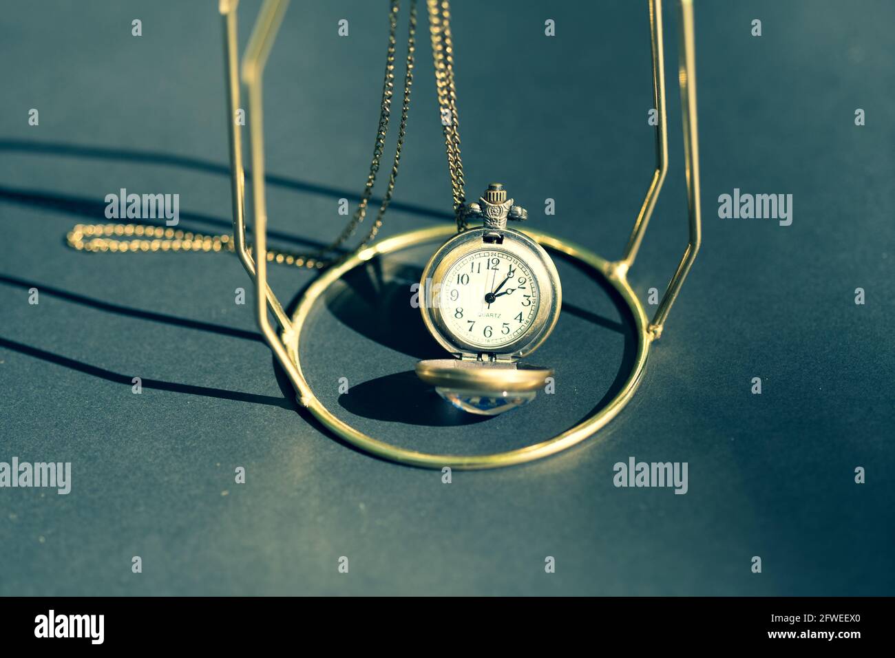 Montre de poche à motif tête de loup. Mise au point sélective Banque D'Images