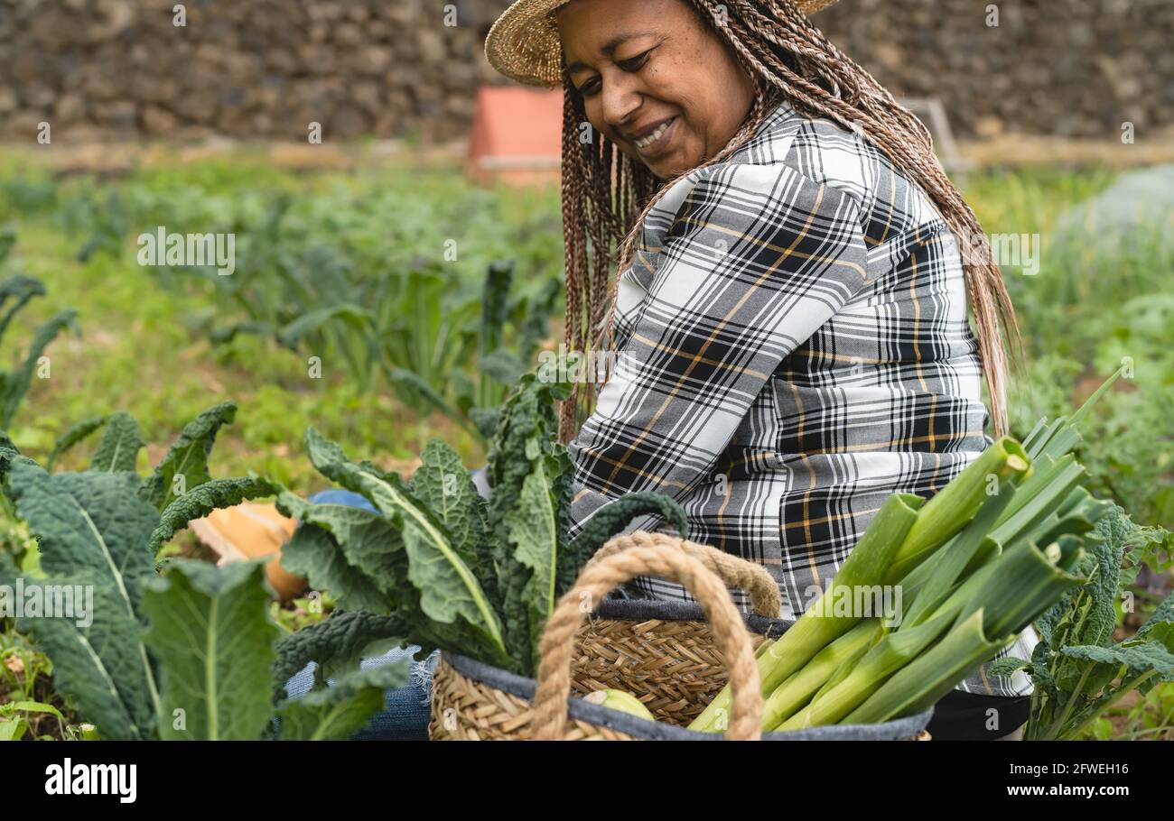 Agricultrice africaine travaillant dans les terres agricoles récoltant des légumes frais - Concept de mode de vie des agriculteurs Banque D'Images