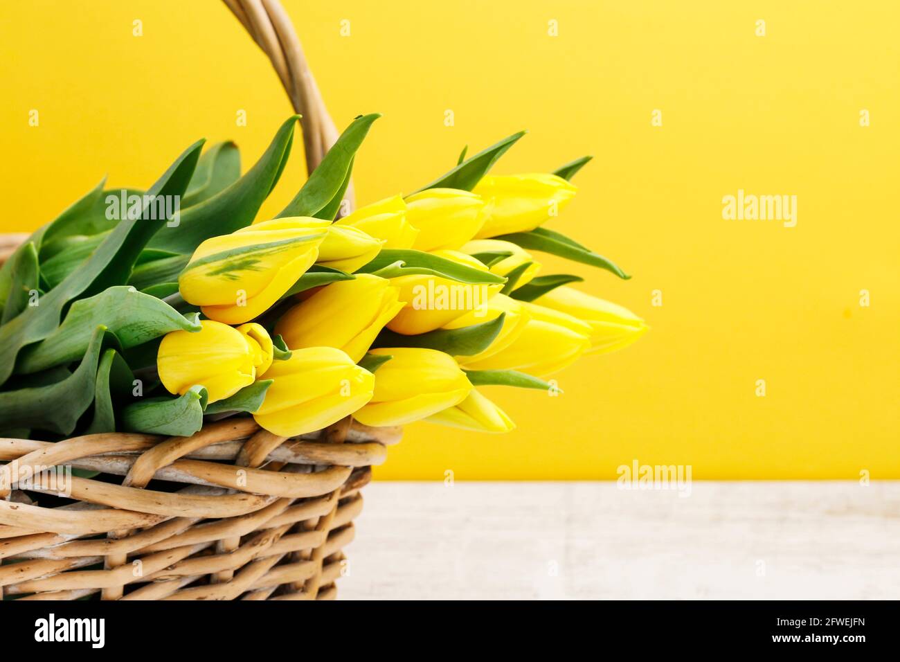 Bouquet de tulipes jaunes dans un panier en osier. Décoration de fête Banque D'Images