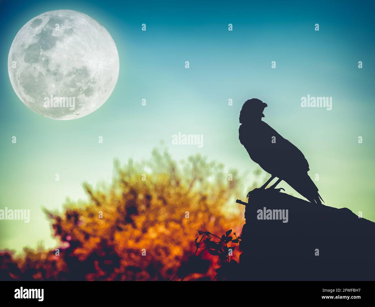 Magnifique ciel nocturne avec pleine lune, arbre et silhouette de corbeau sur pierre qui peut être utilisé pour halloween. Style d'image vintage. À l'extérieur. Banque D'Images