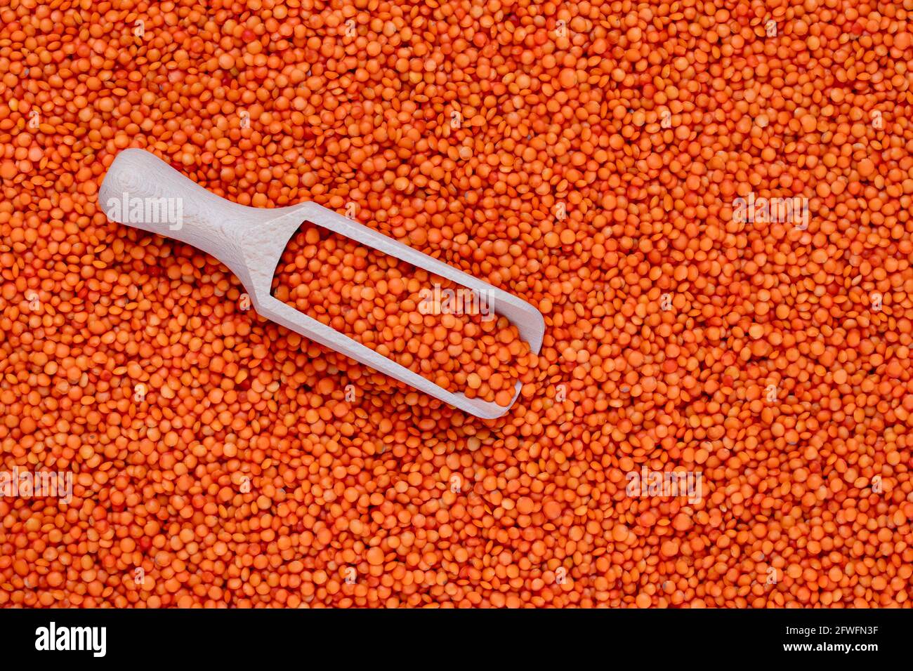 Un tas de lentilles rouges éparses et une pelle en bois, vue du dessus. Graines de légumineuses. Arrière-plan des grains, texture du grain, vue du dessus Banque D'Images