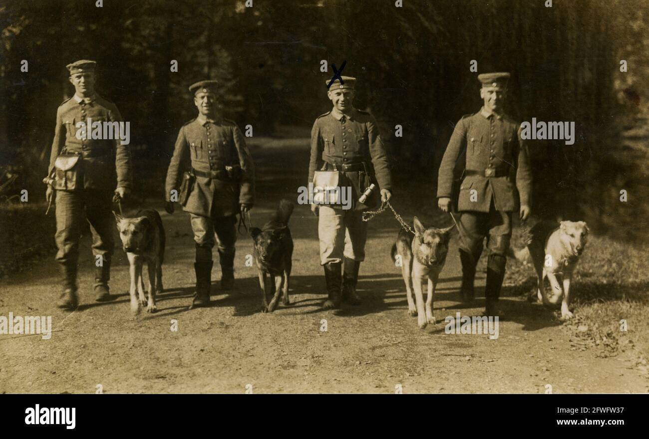 1932 - les soldats allemands ont des chiens de berger allemands Banque D'Images