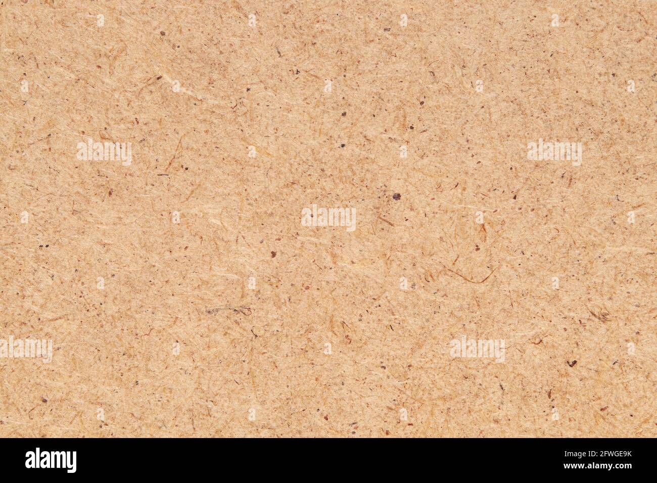 Panneau de fibres de bois ou panneau de fibres de bois en arrière-plan. Panneau en bois HDF. Banque D'Images