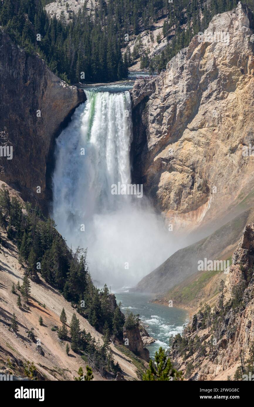 Lower Falls depuis Artist's point, Grand Canyon of the Yellowstone, parc national de Yellowstone, États-Unis Banque D'Images