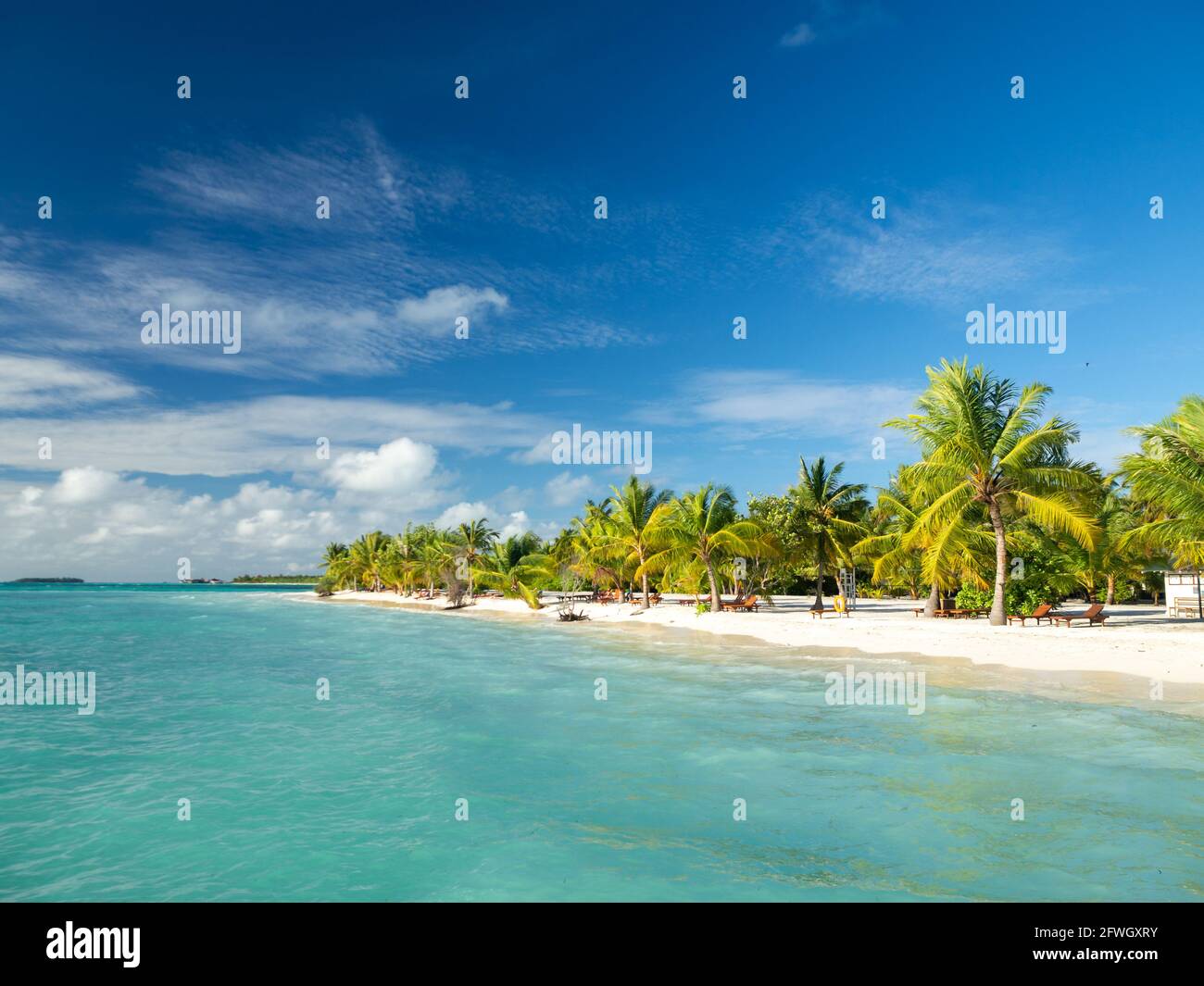 Maldives tropical îles scène panoramique, plage idyllique palmiers végétation et eau claire océan Indien mer, station touristique vacances Banque D'Images