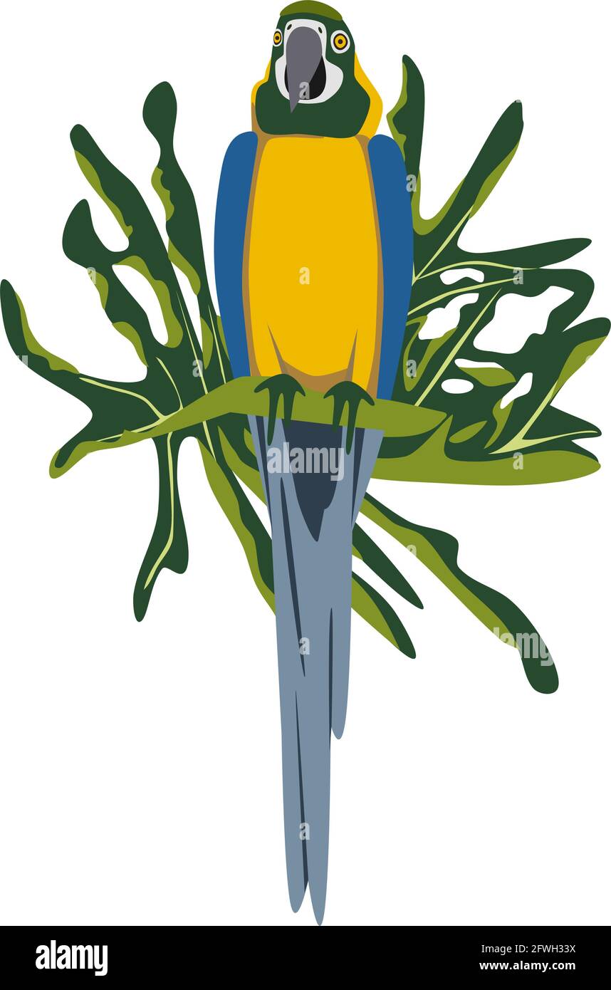 Tropical dessiné à la main coloré ara parrott avec fond de feuille. Perroquet de la macaw. Illustration vectorielle isolée sur fond blanc. Illustration de Vecteur