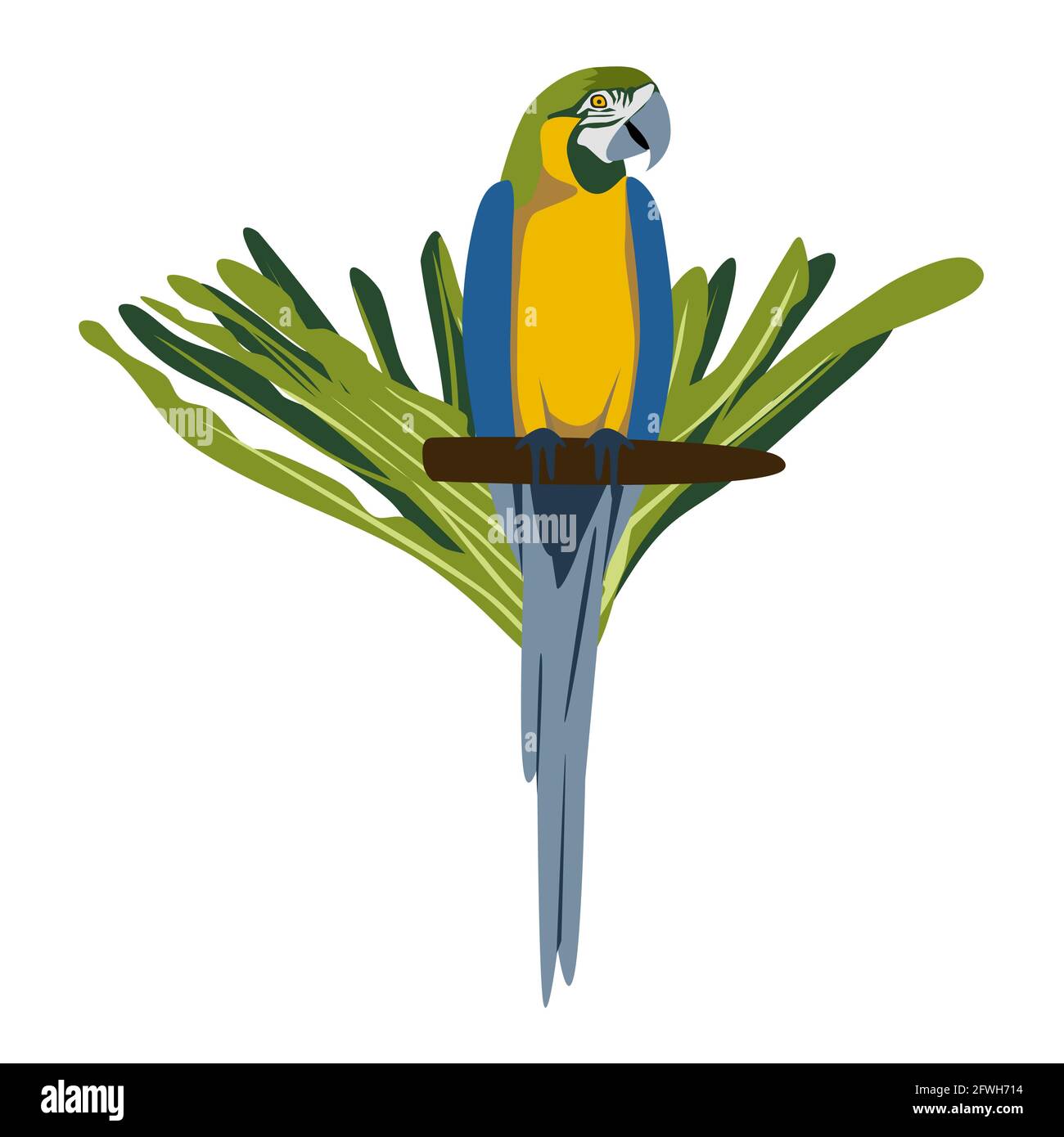 Tropical dessiné à la main coloré ara parrott avec fond de feuille. Perroquet de la macaw. Illustration vectorielle isolée sur fond blanc. Illustration de Vecteur