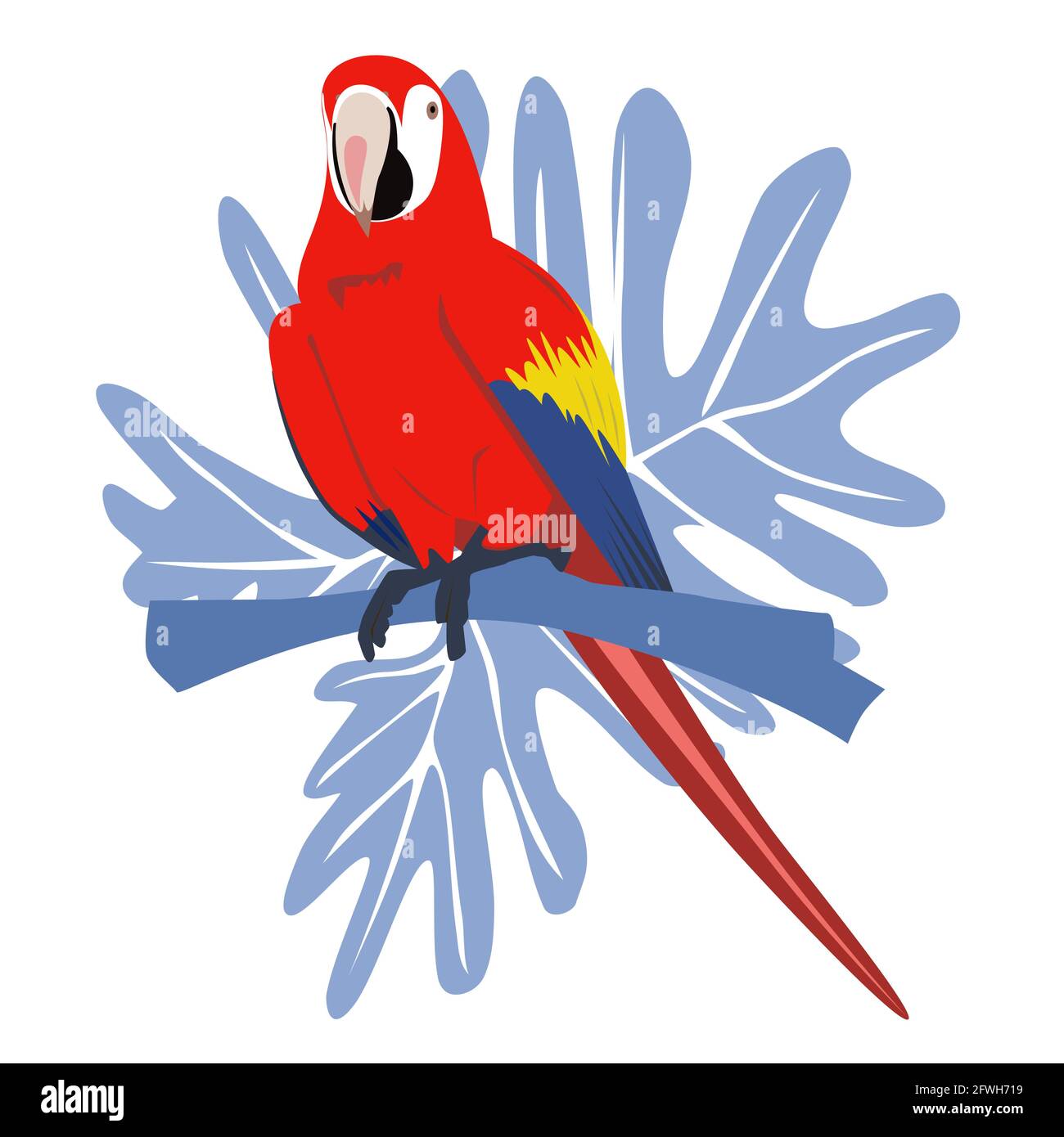 Tropical dessiné à la main coloré ara parrott avec fond de feuille. Perroquet de la macaw. Illustration vectorielle isolée sur fond blanc. Illustration de Vecteur