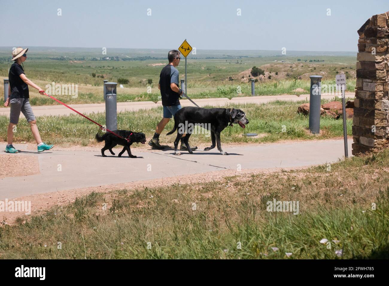 Couple chiens de randonnée dans le parc public - Texas USA Banque D'Images