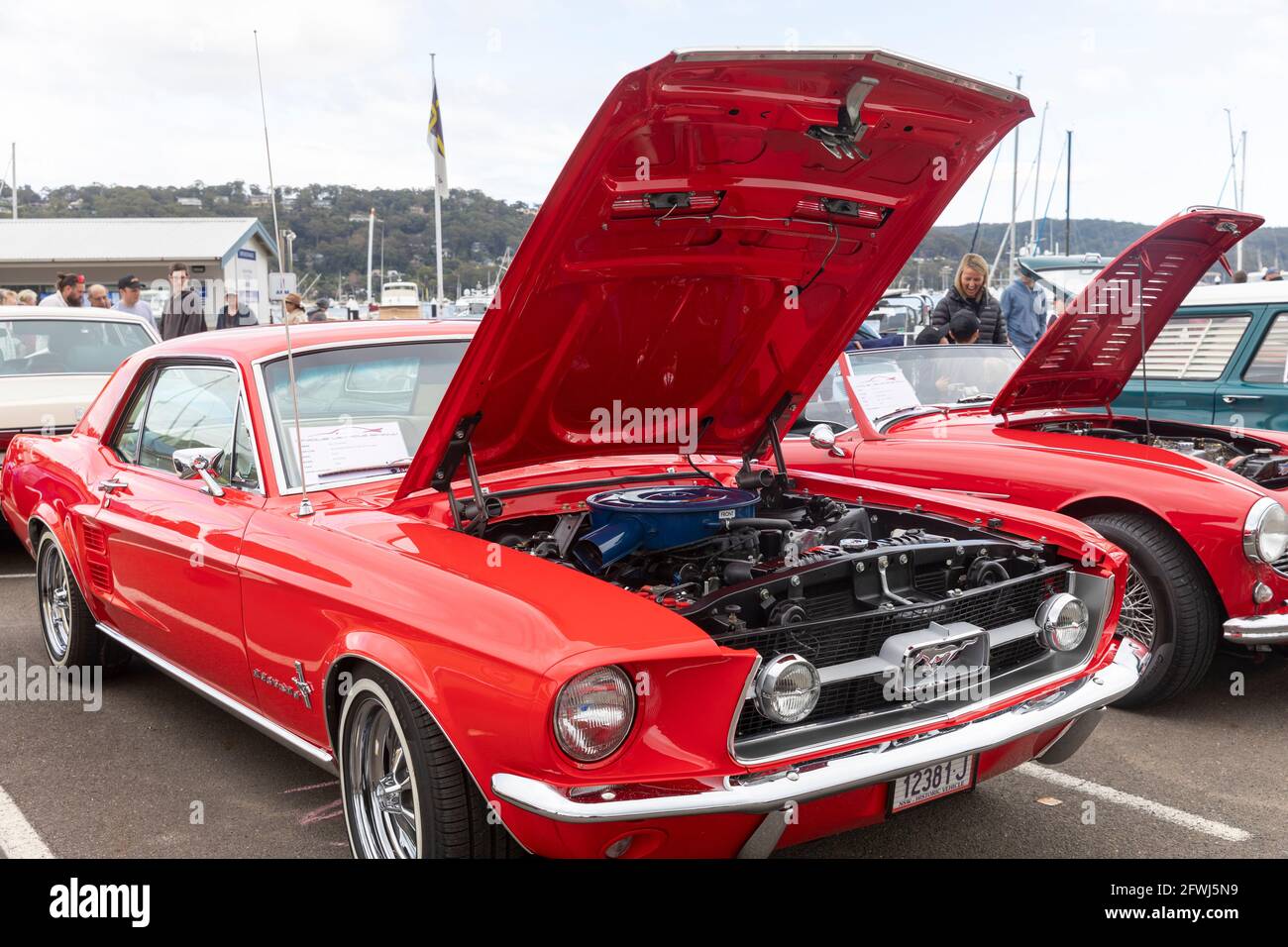 Red 1967 Ford Mustang voiture américaine classique à un Sydney Motor show, Nouvelle-Galles du Sud, Australie Banque D'Images