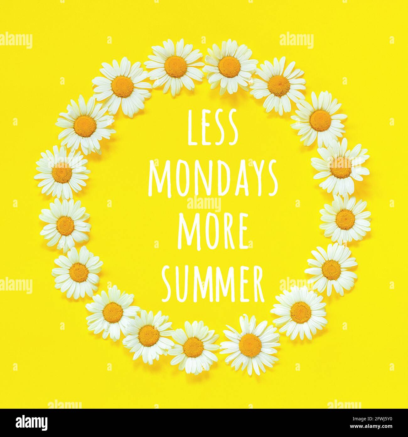 Citation Positive Motivationnelle Moins Lundis Plus De Texte D Ete Dans Le Cadre Floral Couronne Ronde De Fleurs Camomille Sur Fond Jaune Inspiration Conceptuelle Photo Stock Alamy