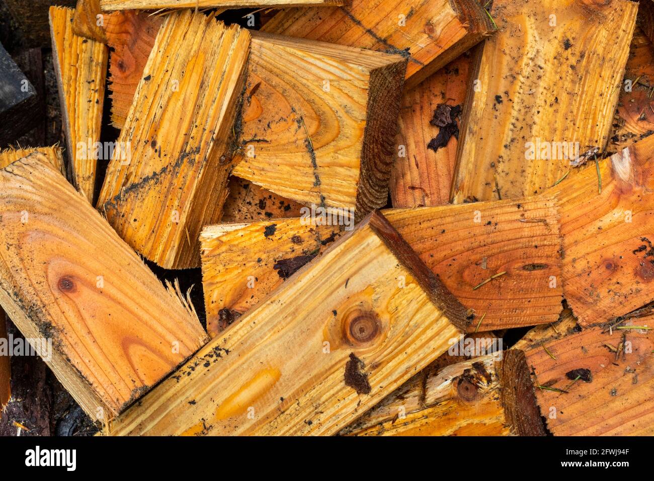 Cales à fosse à bois prêtes à l'emploi Monument Freemine, Forêt de Dean. Promenade de géologie Bixslade. Banque D'Images