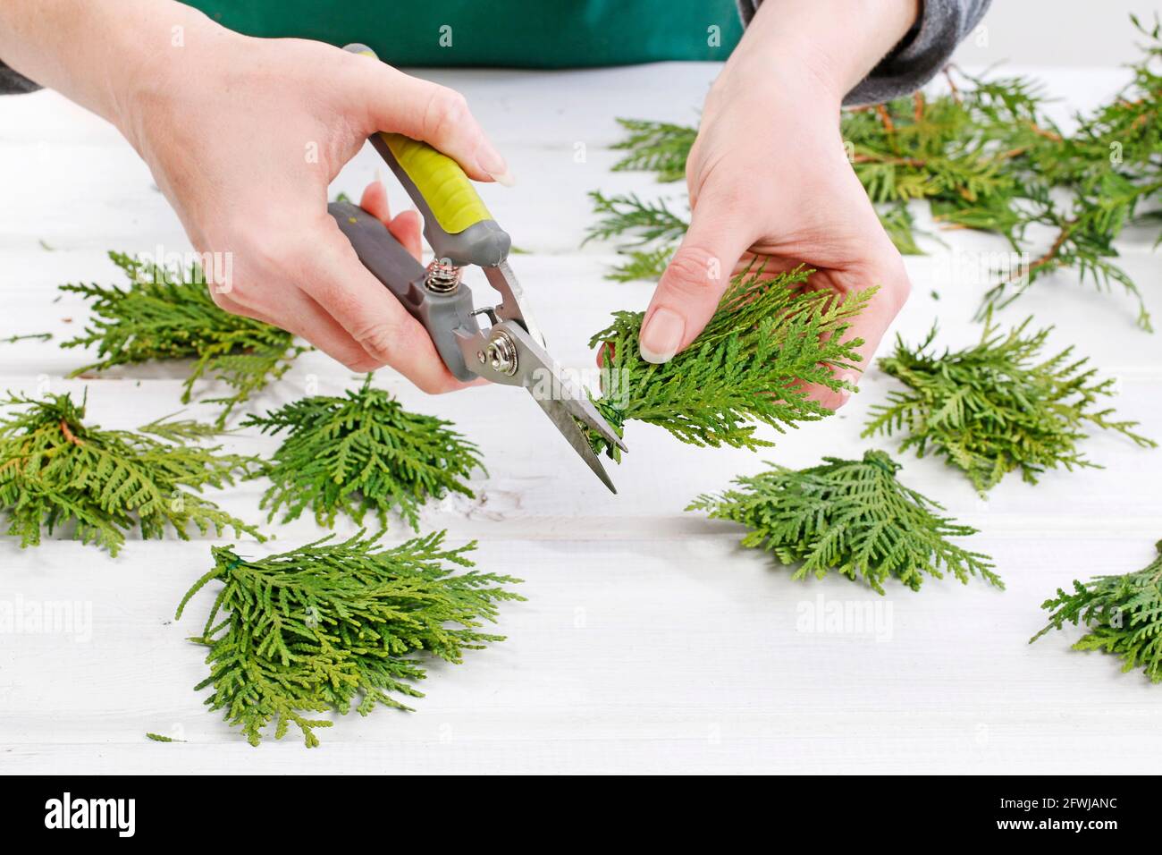 Fleuriste au travail: Comment faire des couronnes de porte de noël traditionnelles avec des brindilles de thuja. Étape par étape, tutoriel. Banque D'Images