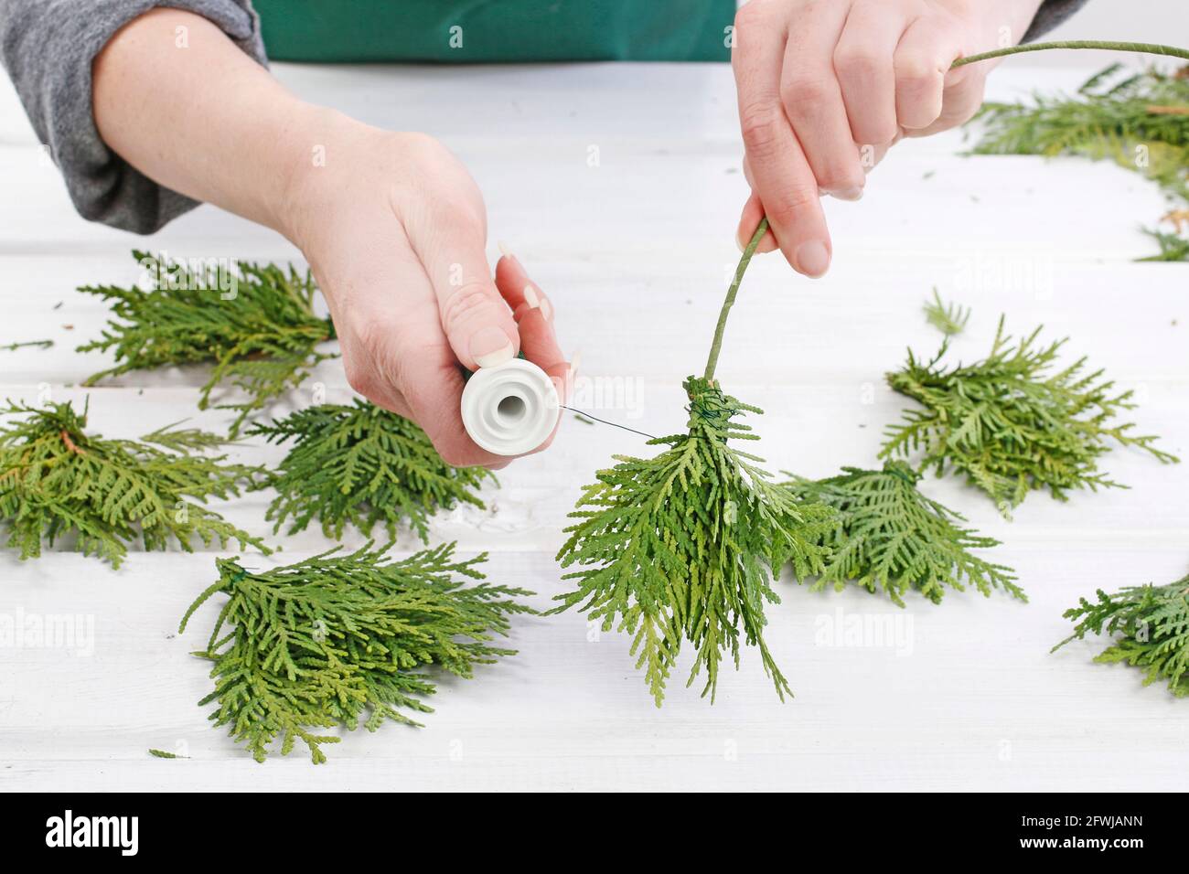 Fleuriste au travail: Comment faire des couronnes de porte de noël traditionnelles avec des brindilles de thuja. Étape par étape, tutoriel. Banque D'Images