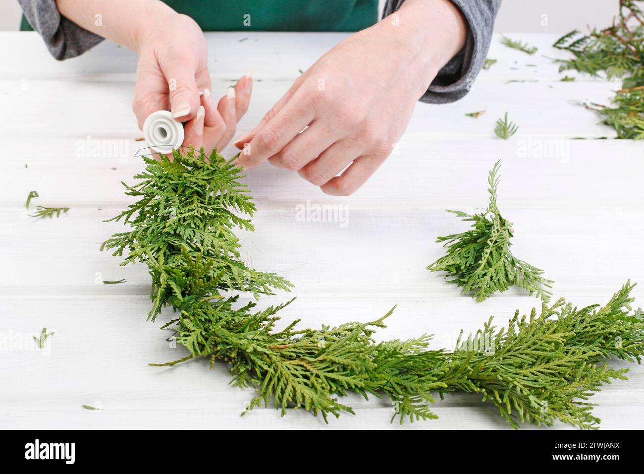 Fleuriste au travail: Comment faire des couronnes de porte de noël traditionnelles avec des brindilles de thuja. Étape par étape, tutoriel. Banque D'Images