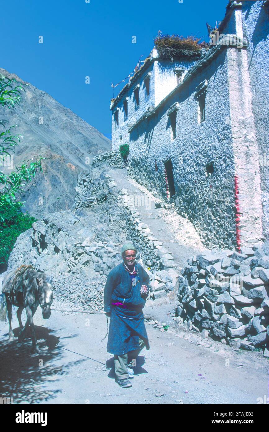 Ladakhi homme principal cheval Temisgam village Ladakh Inde Banque D'Images