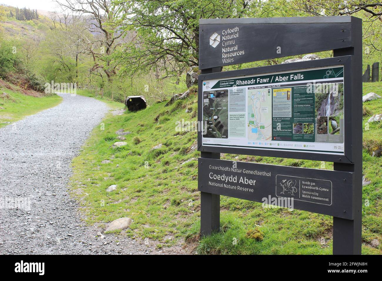 Panneau d'information de la réserve naturelle nationale Coedydd Aber et sentier de randonnée Banque D'Images