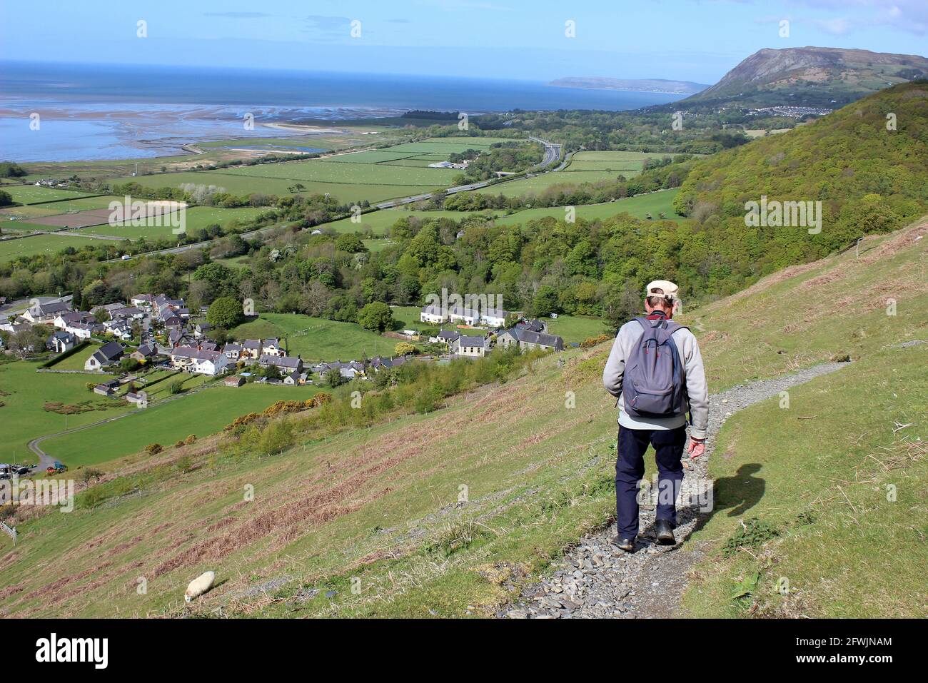 Chemin du nord du pays de Galles (Llwybr y Gogledd) au-dessus du village d'Abergwyngregyn, Gwynedd, pays de Galles. Banque D'Images