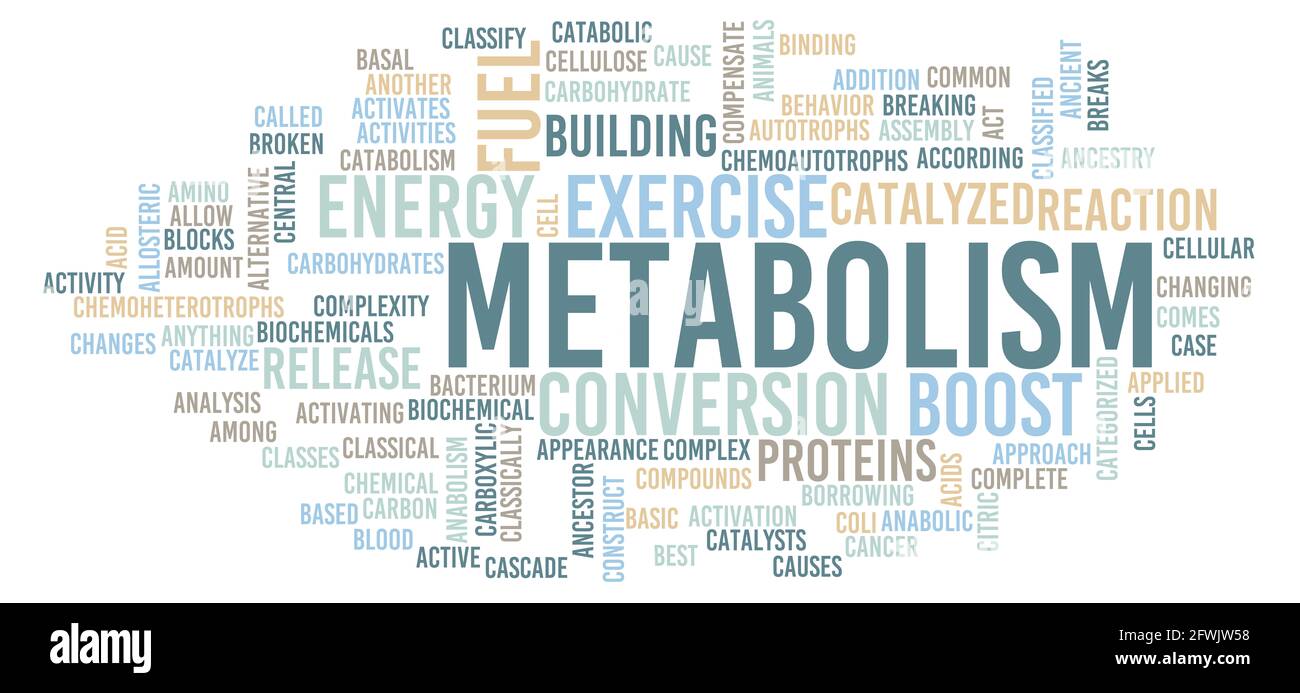 Métabolisme dans votre corps concept de réaction chimique Banque D'Images