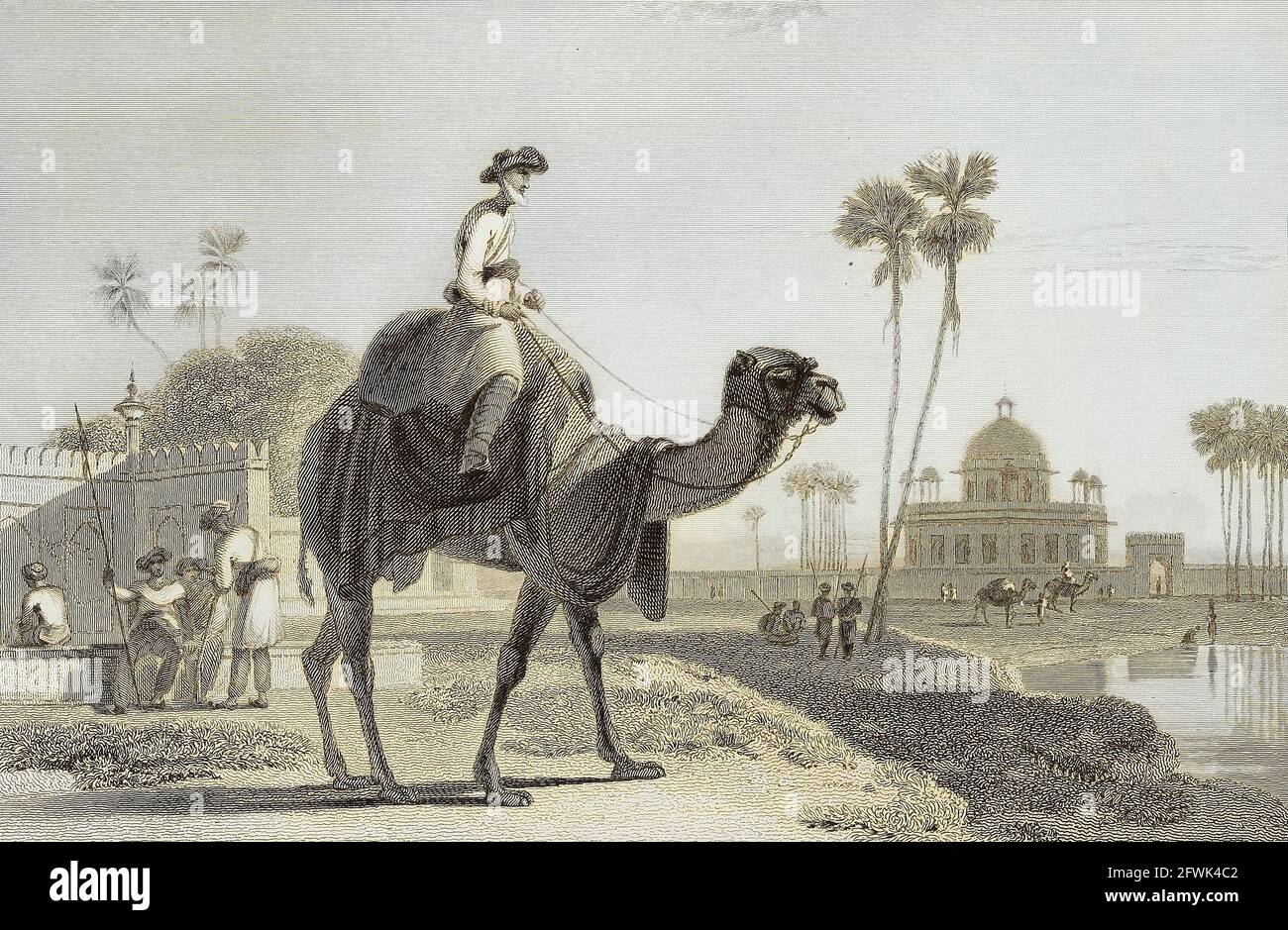Machine coloriait le Hirkarrah Camel à partir du livre « The Oriental Annual, or, Scenes in India » du rév. Hobart Caunter publié par Edward Bull, Londres 1834 gravures de dessins de William Daniell Banque D'Images